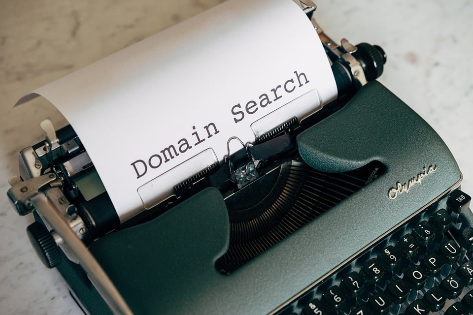 domain name searching